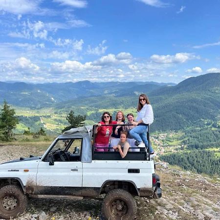 Къща За Гости "Домът На Краси" Yagodina Buitenkant foto