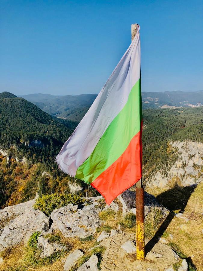 Къща За Гости "Домът На Краси" Yagodina Buitenkant foto