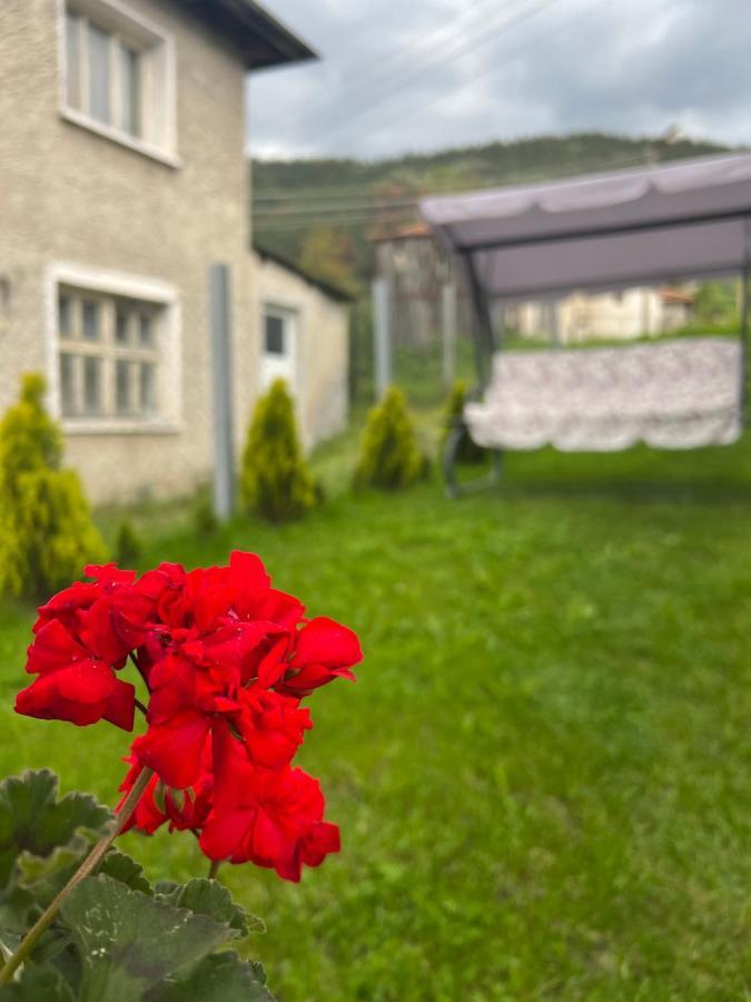 Къща За Гости "Домът На Краси" Yagodina Buitenkant foto