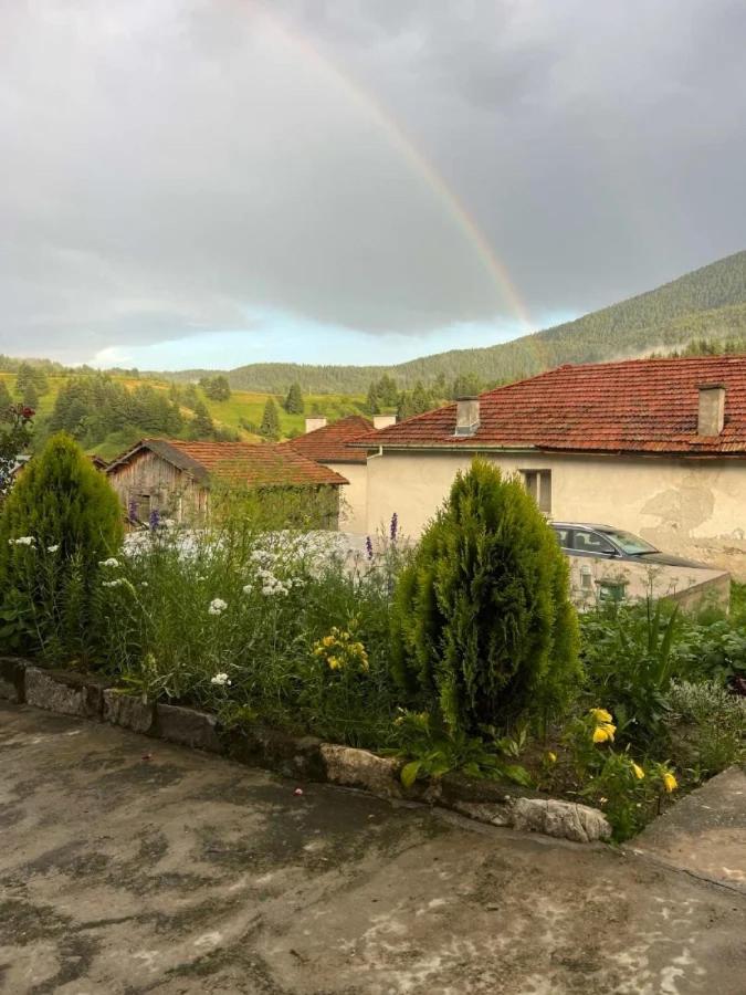 Къща За Гости "Домът На Краси" Yagodina Buitenkant foto