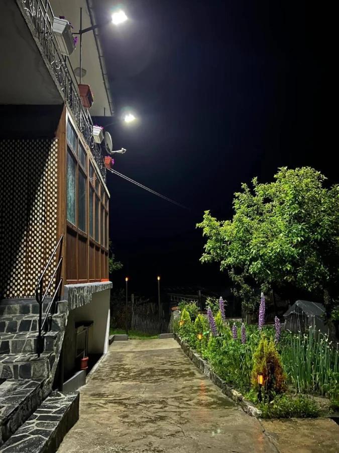 Къща За Гости "Домът На Краси" Yagodina Buitenkant foto